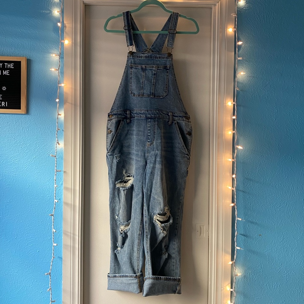 Wild Fable Destructed Carpenter Overalls